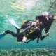 Beginner scuba diver having an intro dive together with a diving instructor in shallow water.
