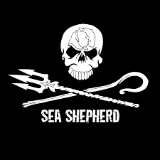 Sea shepherd logo representing a skull a triton and a shepherd stick