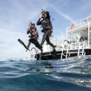 Two scuba diver exiting a boat with a gian step while holding mask and regulator with on hand and protecting the back of the head with the other hand.