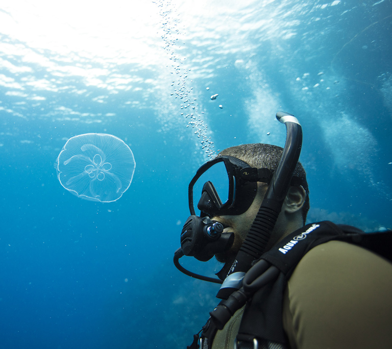 scuba diver in the sea, breathing with a regulator and wearing a scuba mask. Looking to a jelly fish
