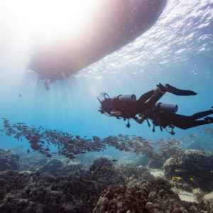 Two scuba divers diving undera boat together with a big school of fish in a cristal clear water.