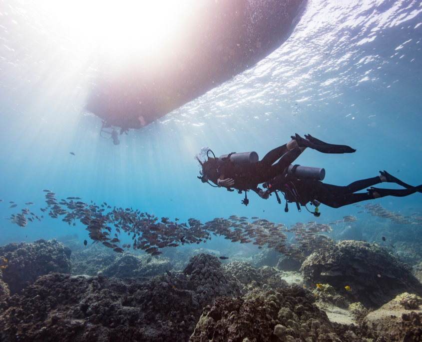 Two scuba divers diving undera boat together with a big school of fish in a cristal clear water.