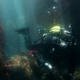 scuba diver diving in Marina del Este with Black Frog Divers in Torrox during a guided dive